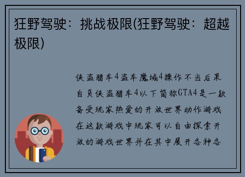 狂野驾驶：挑战极限(狂野驾驶：超越极限)